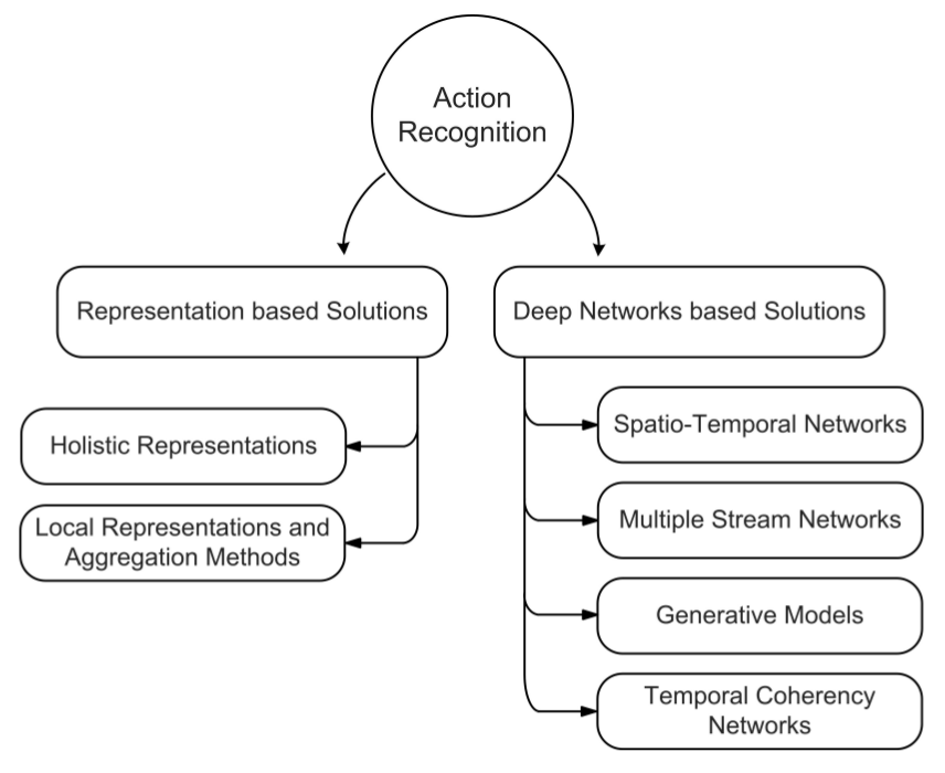 taxonomy